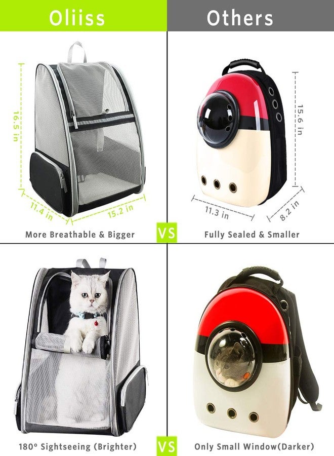 Qpets حقيبة ظهر لحمل القطط من كيو بيتس® بتصميم يسمح بمرور الهواء، مناسبة للطقس الحار، قفص قابل للتوسيع للقطط والكلاب، حقيبة للقطط، حقيبة سفر للحيوانات الأليفة بتصميم حقيبة ظهر، حقيبة للحيوانات الأليفة الصغيرة (رمادي) - Image 2